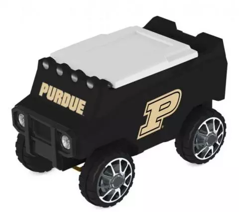Remote control cheap beer cooler