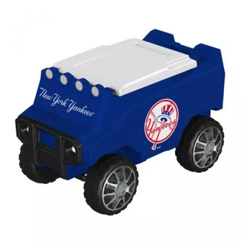 Radio controlled cooler sales