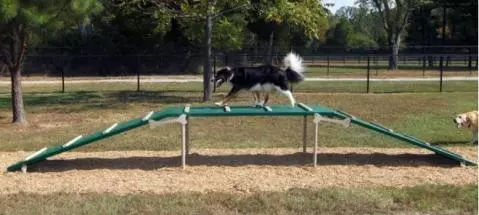 Dog walk ramp sales