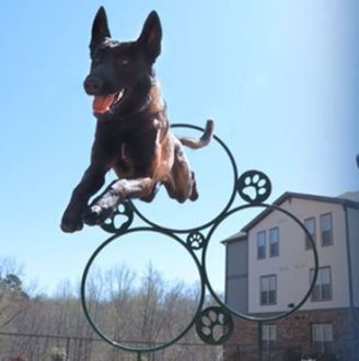 Hoop Jump