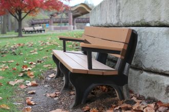 6 Foot Traditional Park Bench with Arm Rest