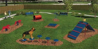 Intermediate Dog Course