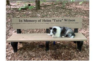 6 Foot Traditional Memorial Park Bench 