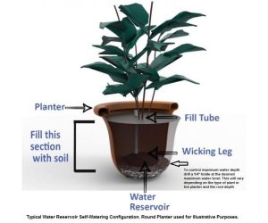 Typical Self-Watering Configuration