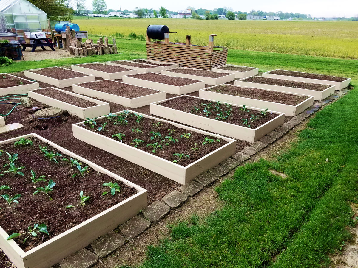 Planter Boxes: A Garden Upgrade Project